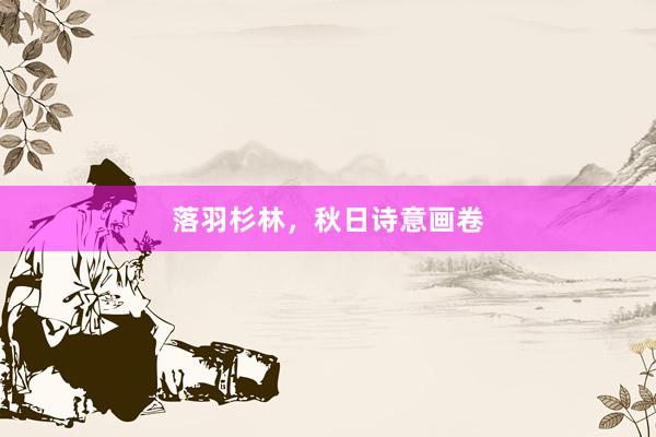 落羽杉林，秋日诗意画卷